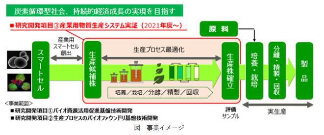 バイオ由来製品開発