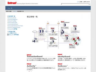サイバー詐欺