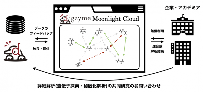 digzyme