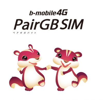 PairGBSIM