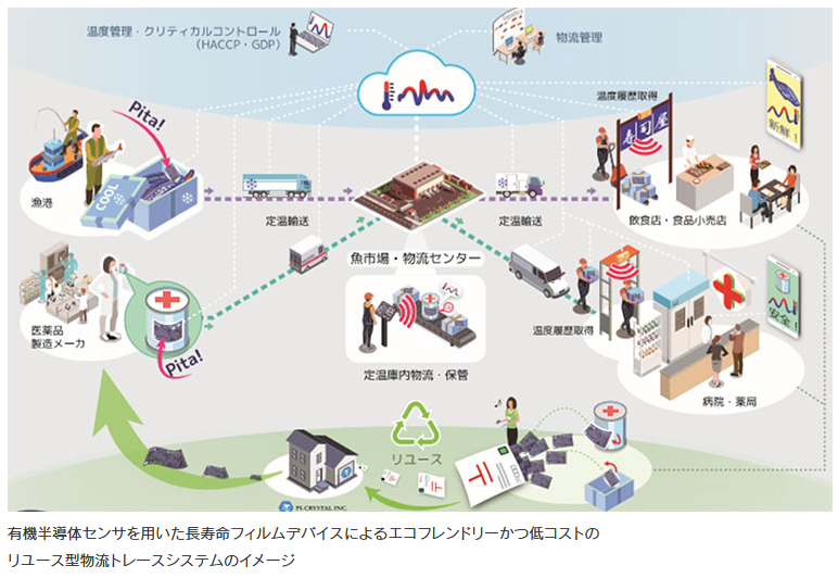 有機半導体フィルムデバイス