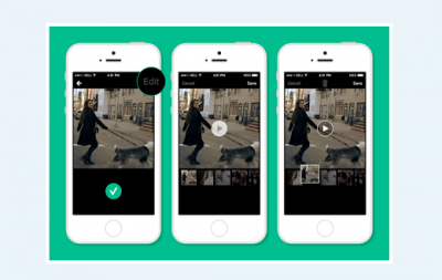 Vine