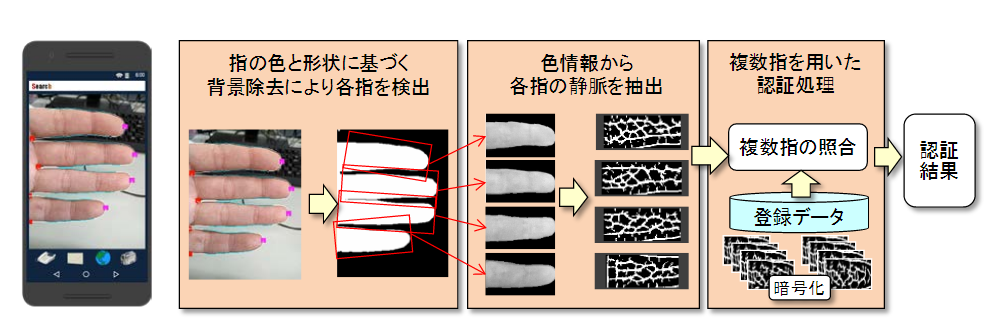 指静脈認証