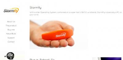 StormFly