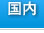 国内WEB